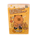 Capybara Recordable Keychain Blind Box